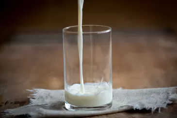 Lietuvos dvarų įtaka pienininkystei: ugdė specialistus, diegė modernias technologijas, jų įdirbį pieno kokybei vertiname ir šiandien