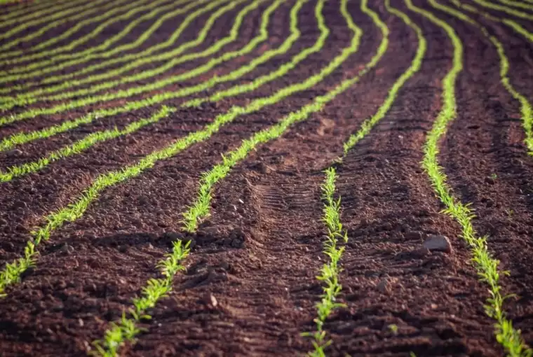 Kaip žemės ūkį pakeis žalioji ES strategija? Virš laukų skraidantys dronai ir trąšas skirstantis dirbtinis intelektas