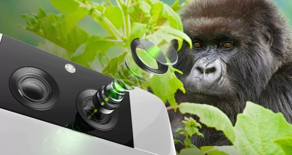 Telefonai tuoj fotografuos geriau: padėkokite gorilos stiklui, kuris saugo jūsų išmanųjį nuo įbrėžimų