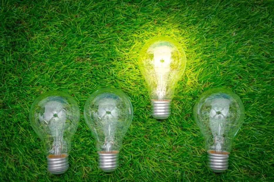 Žalioji elektros energija: mitas, kad labai brangu