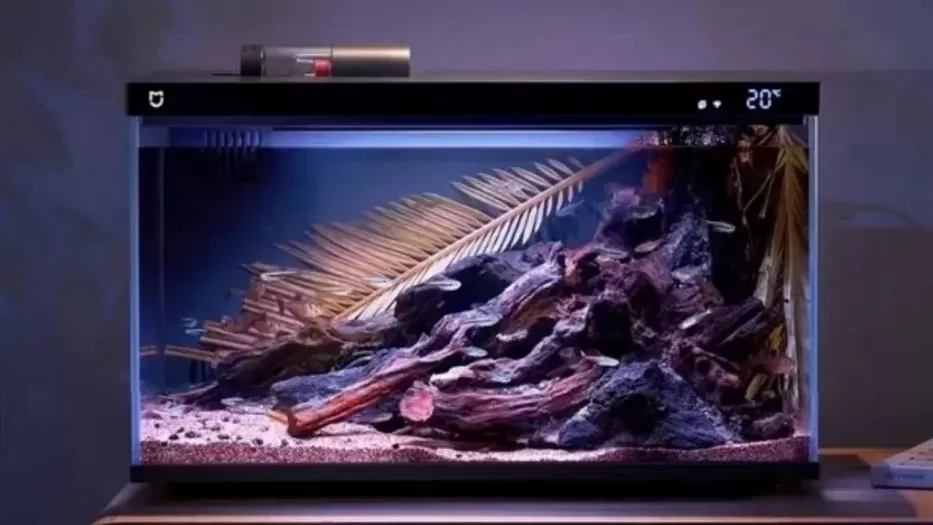 Net ir akvariumai gali būti išmanūs: „Xiaomi“ pristatė neįtikėtiną naujieną, kuri aptiks žuvyčių augintojams