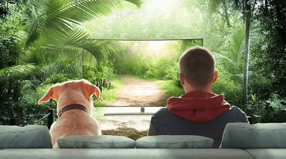 Ar šunys mato ir supranta tai, ką rodo televizorius?