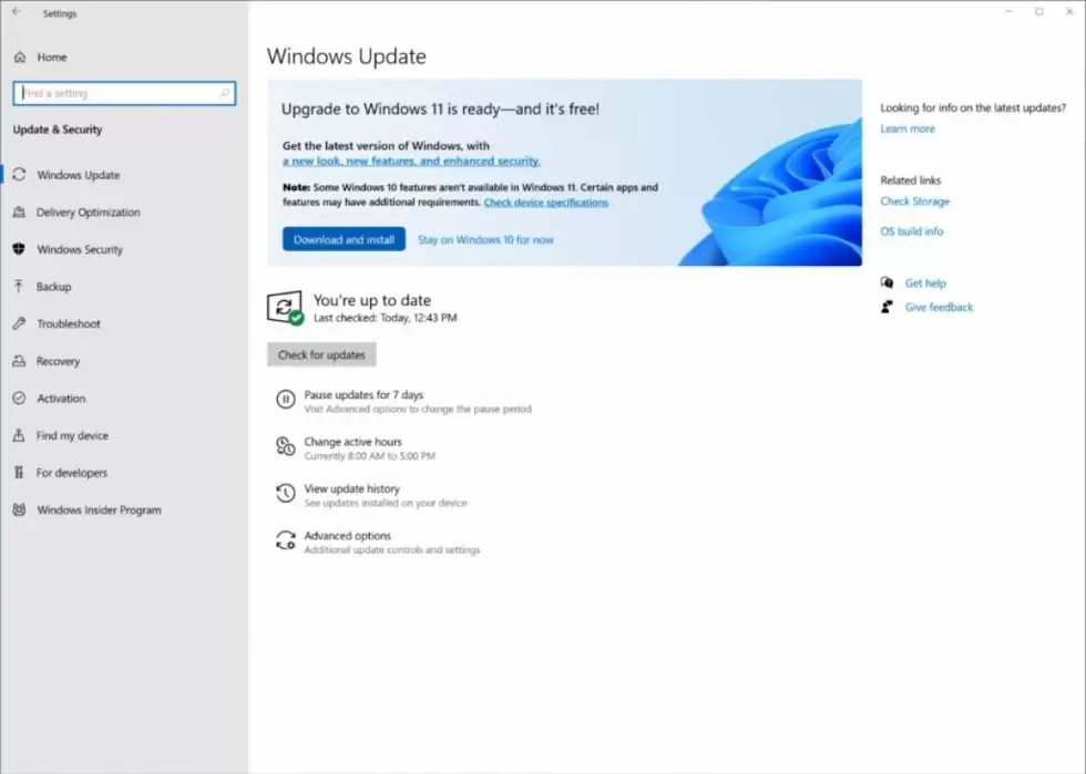 Windows-11-update