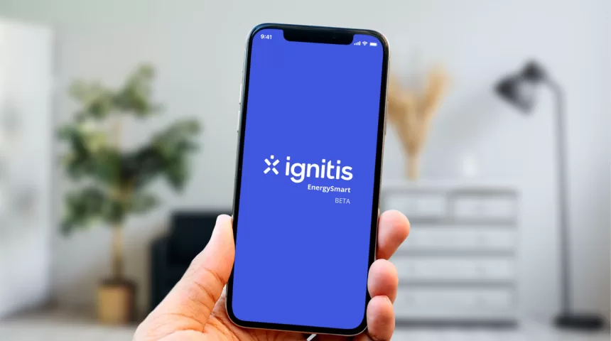 „Ignitis“ sprendimas, kuris pravers daugeliui lietuvių: bendrovės sukurta programėlė suteikia stulbinančias galimybes tiems, kurie gamina elektros energiją